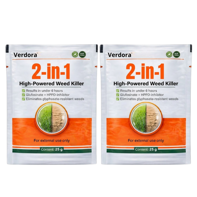 Verdora